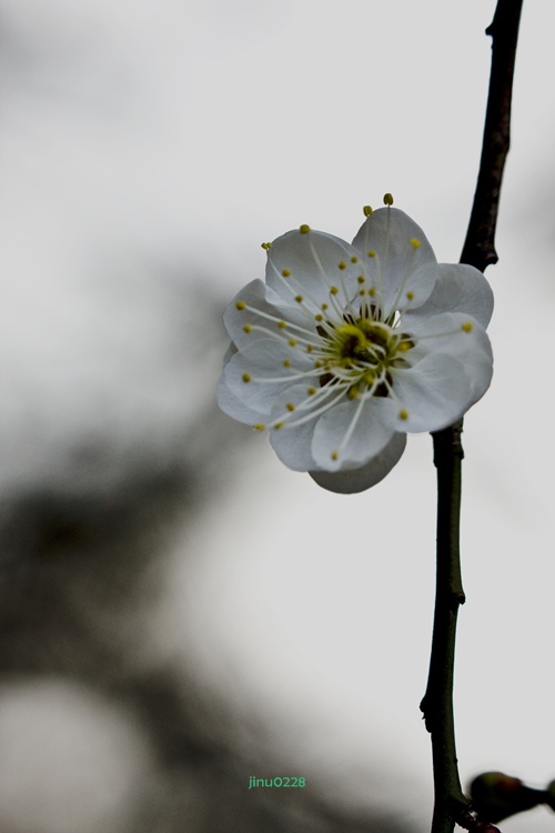 _MG_4865.jpg