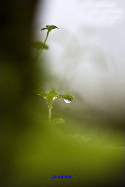 _MG_4968.jpg