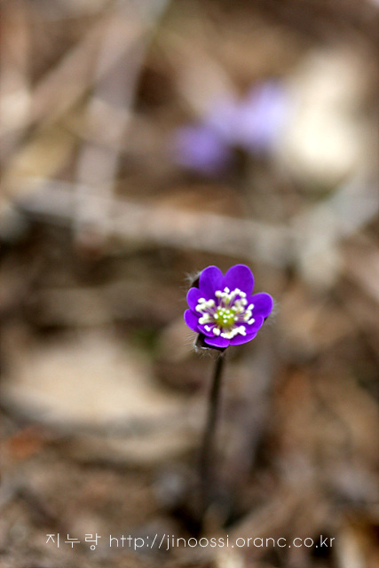 IMG_8638.jpg