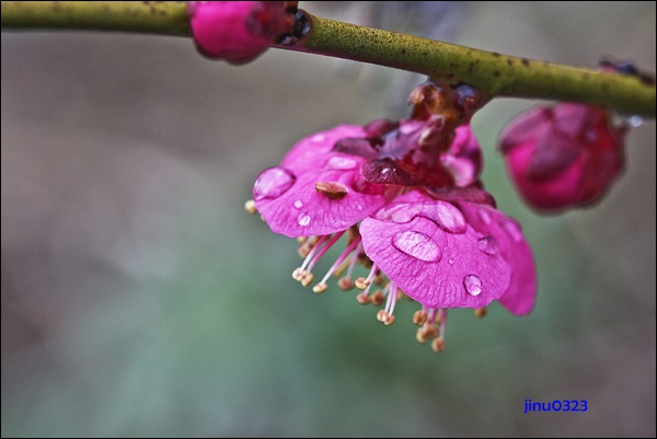 _MG_5314.jpg