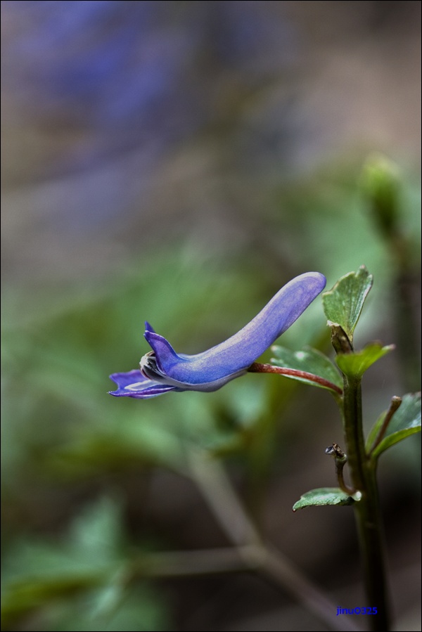 _MG_5380.JPG