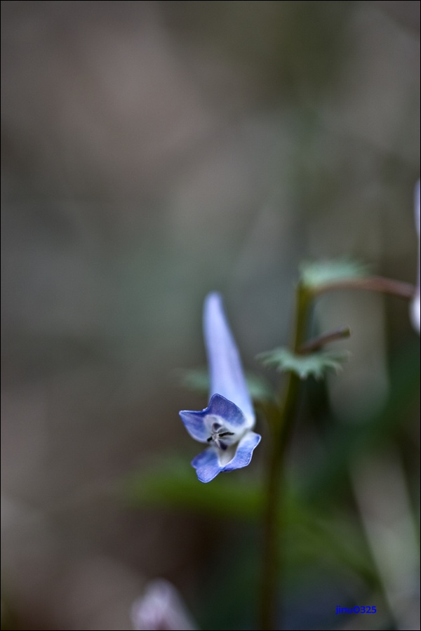 _MG_5381.JPG