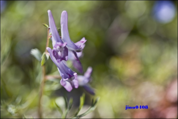 _MG_5471.JPG