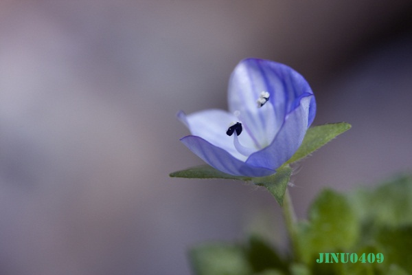 _MG_5507.JPG