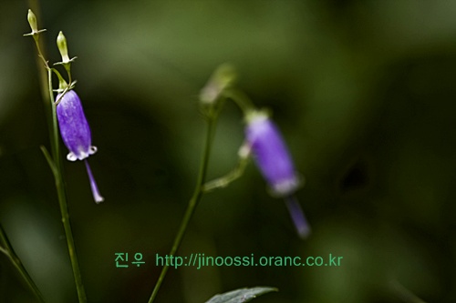IMG_2814.jpg