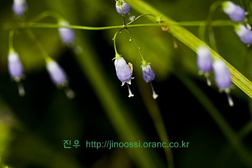 IMG_2843.jpg
