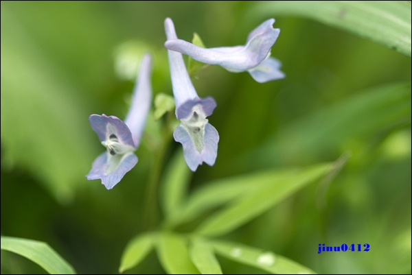 _MG_5565.JPG