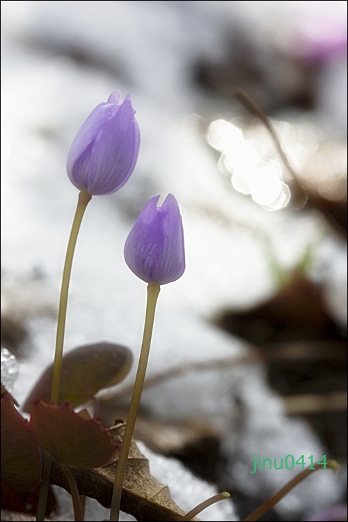 _MG_5656.JPG