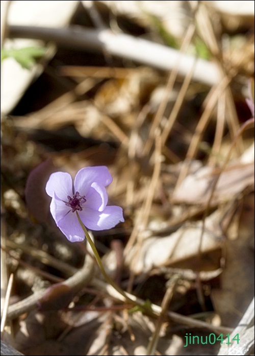 _MG_5673.JPG