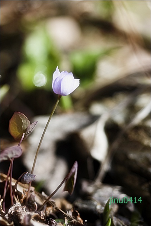 _MG_5684.JPG