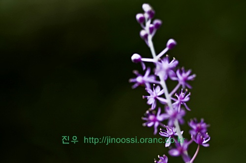 IMG_2830.jpg