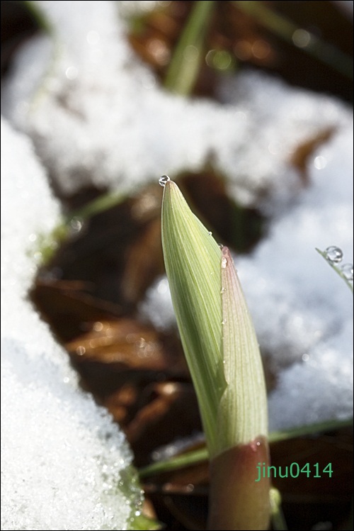 _MG_5652.JPG