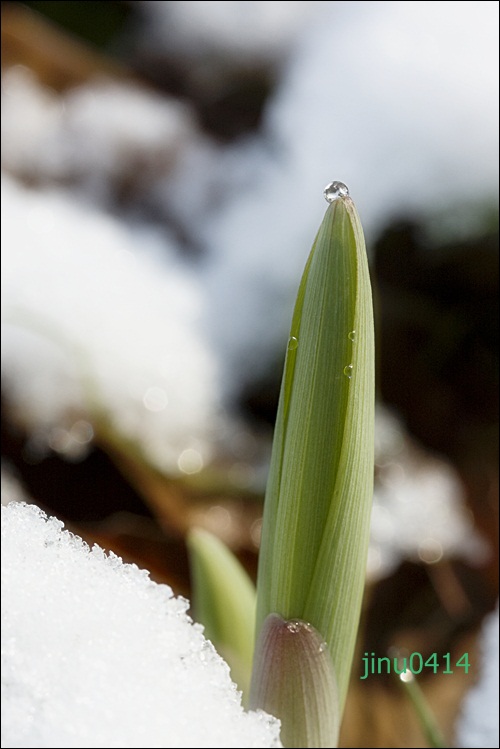 _MG_5654.JPG