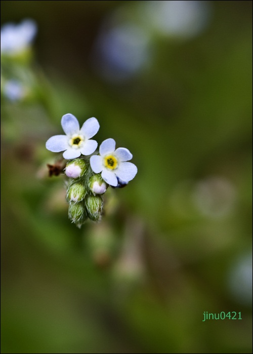 _MG_5768.JPG