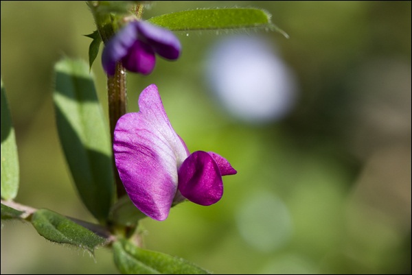 _MG_5841.JPG