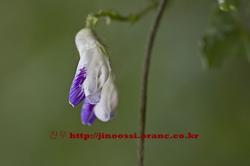 IMG_2985.jpg