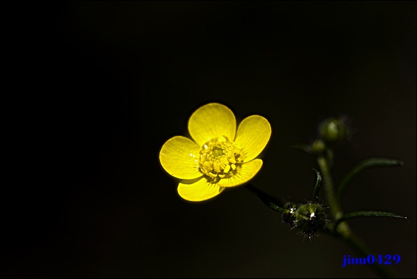 _MG_5922.JPG