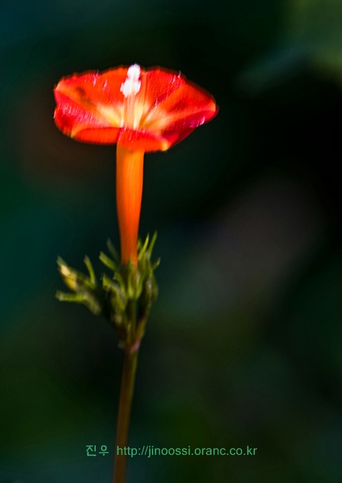 IMG_30061.jpg