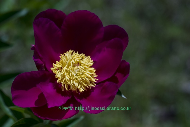 IMG_0472.jpg