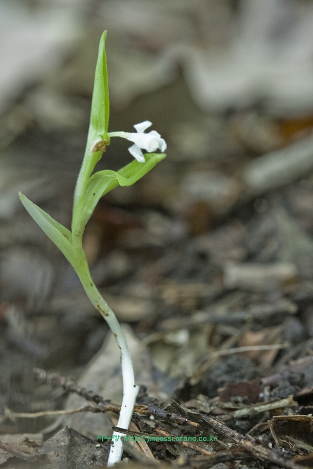 IMG_0510.jpg