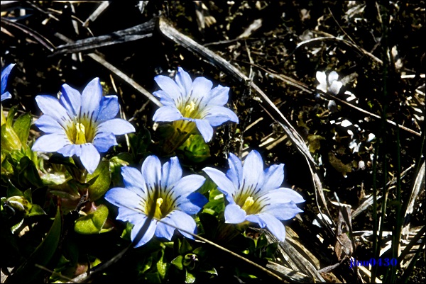 _MG_6027.JPG