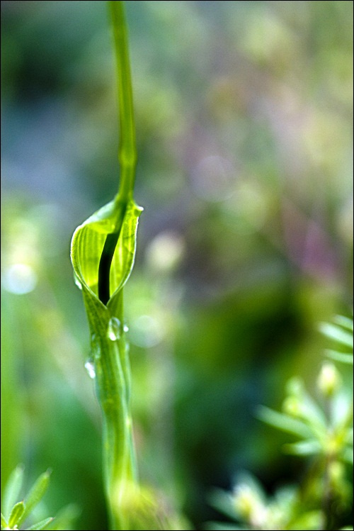 _MG_6056.JPG