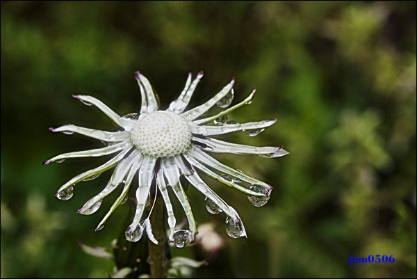 _MG_6047.JPG