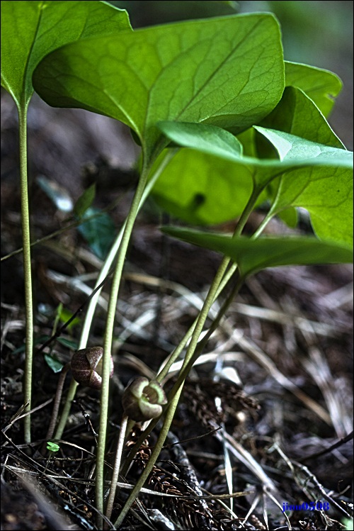 _MG_6074.JPG