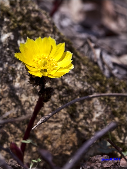 IMG_5845.jpg