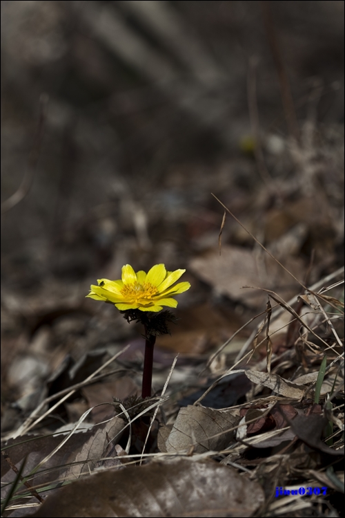 IMG_5852.jpg