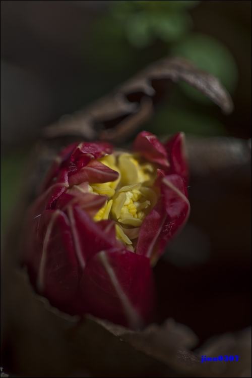 IMG_5881.jpg