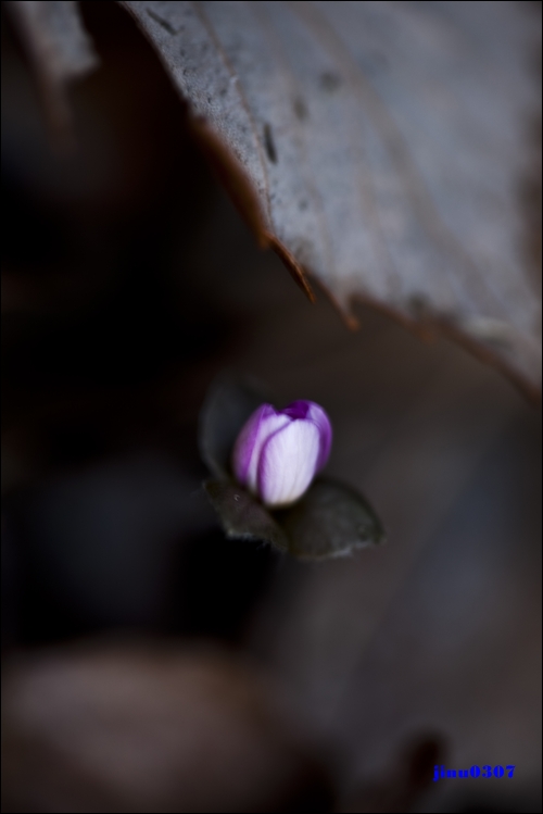 IMG_5871.jpg
