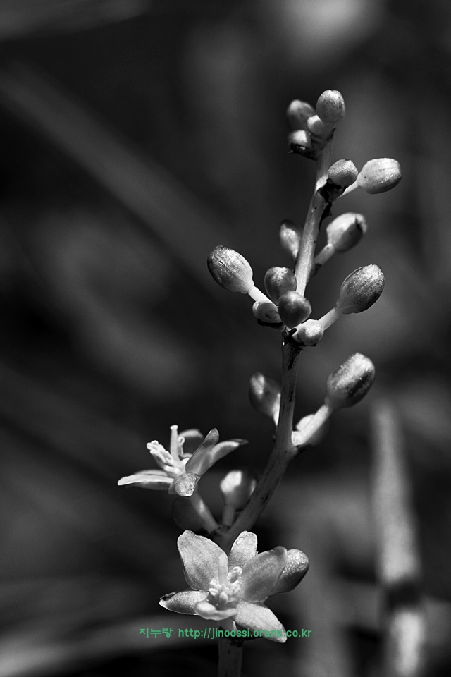 IMG_1547.jpg