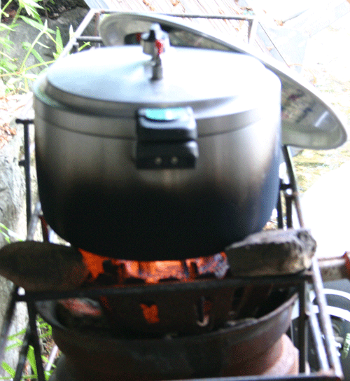 4.gif
