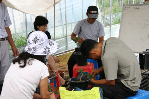 0812gug5.gif