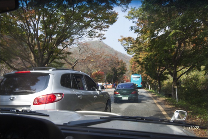 백양사가는길-7445.jpg