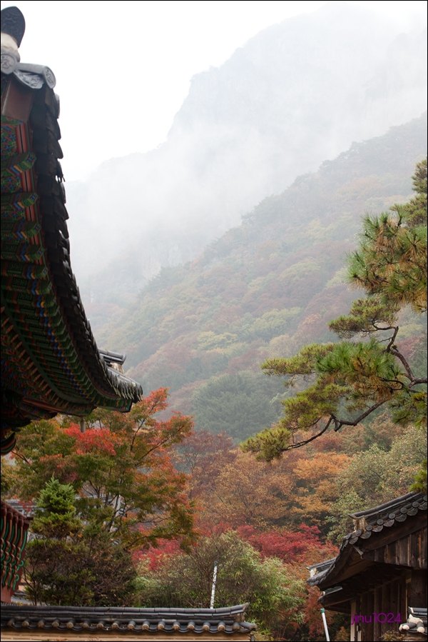 백양사-0841.jpg