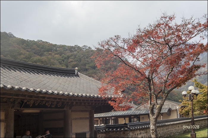 박물관-7545.jpg