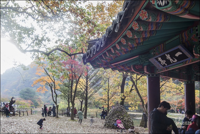 일광정-7541.jpg