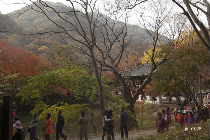 쌍계루-7522.jpg