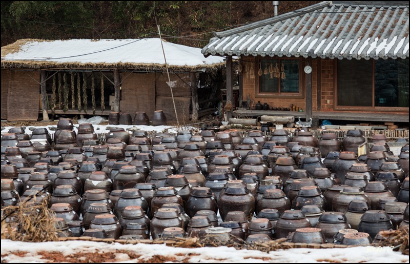 기순조장업장-7326.jpg