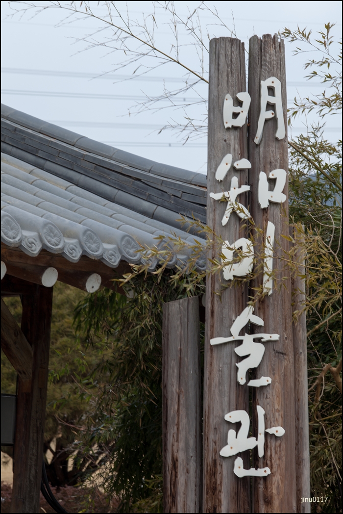 명지원-7337.jpg