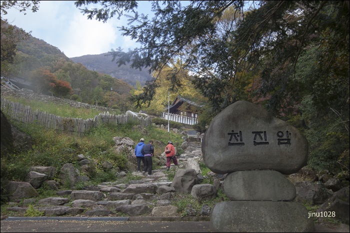 천진암-7509.jpg
