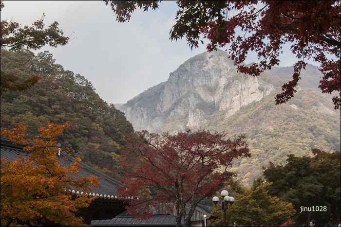 학바위-7481.jpg