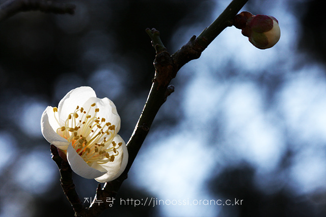 IMG_8163.jpg