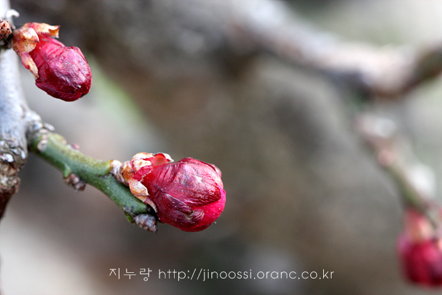 IMG_8486.jpg
