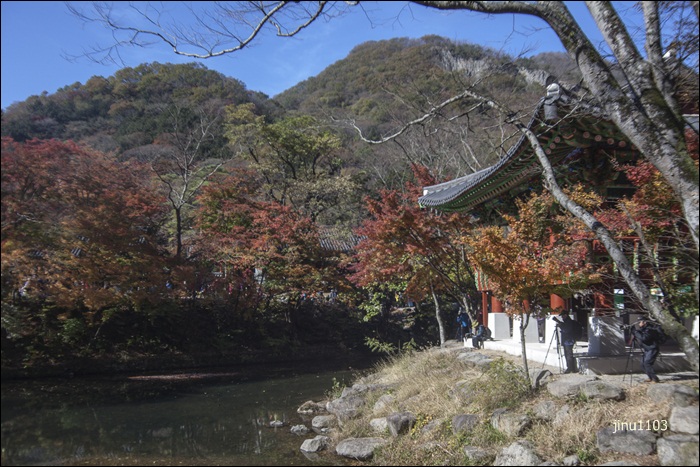 단풍-7703.jpg