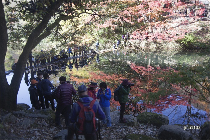 단풍길-7687.jpg
