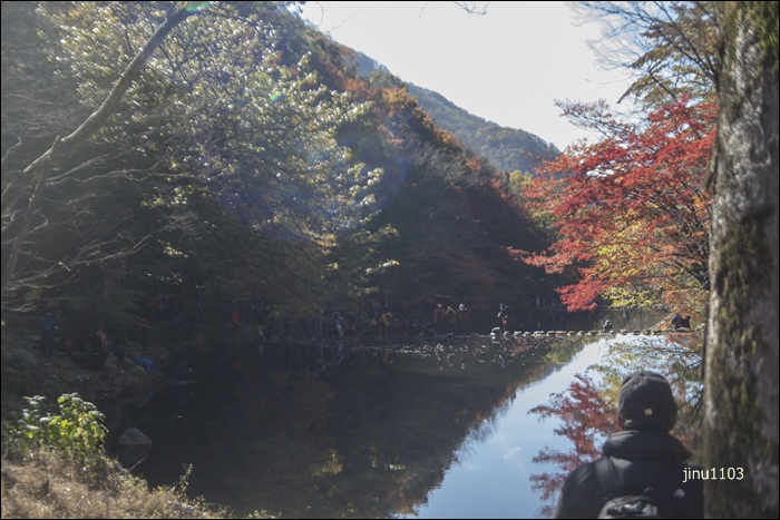 단풍-7709.jpg
