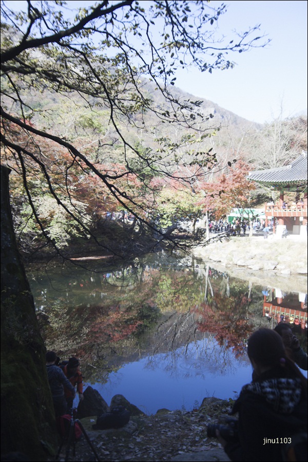 단풍길-7688.jpg